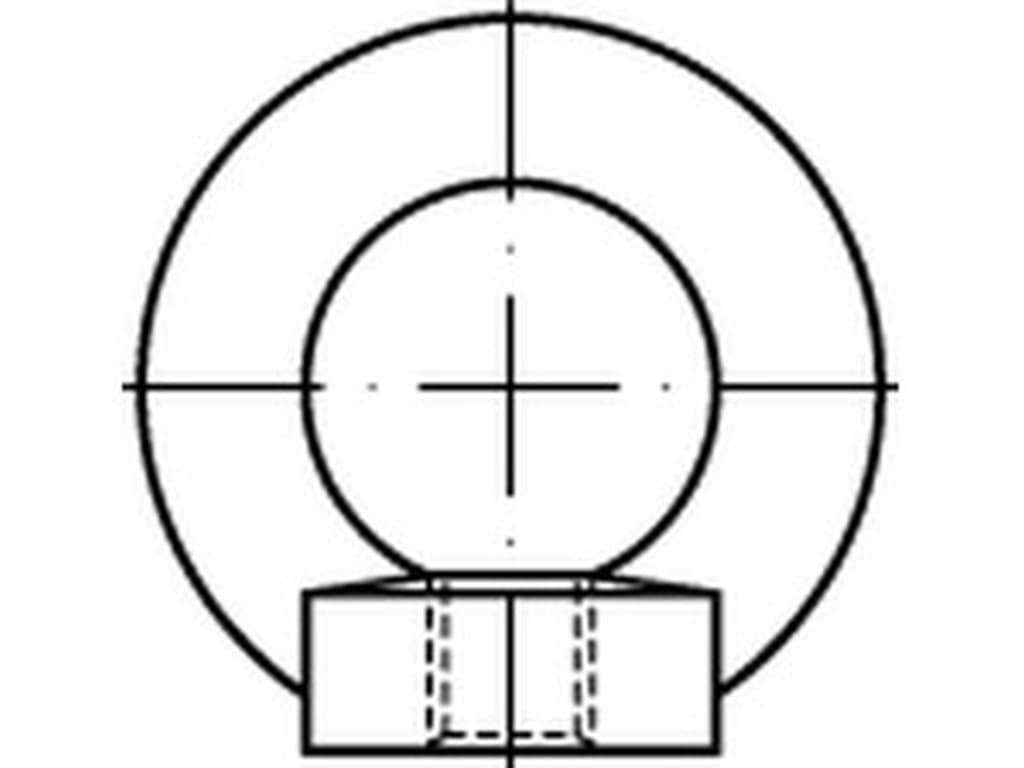 Bild von DIN 582 Stahl: C15E M6 (blank) Ringmuttern - Pkg. (25)