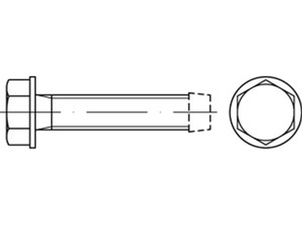 Bild für Kategorie DIN 7500 (D)➤ gewindefurchende Schrauben - Form D - Sechskant-Flansch