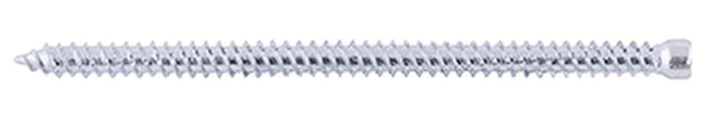 Bild für Kategorie Rahmenschrauben Zylinderkopf (für Holz-Profile)