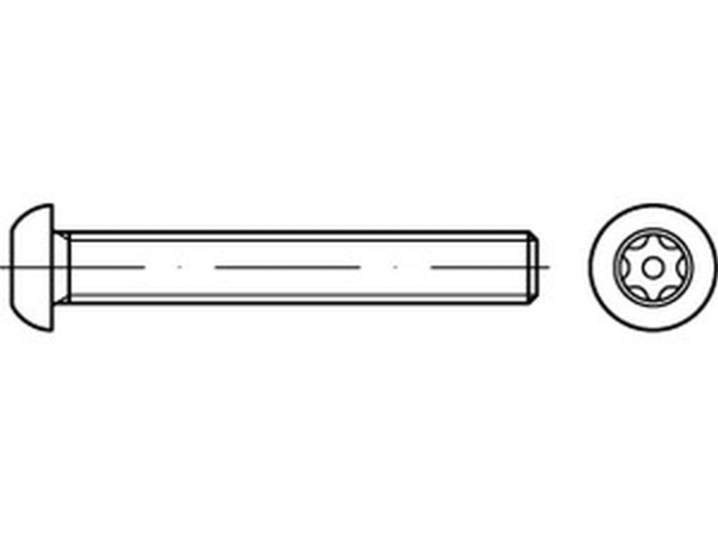 Bild von ART 88116 Sicherheitsschrauben (I7380) A 2 M 4 x 50 mit PIN-ISR T20 A 2 VE=S