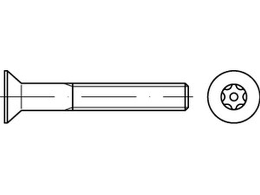 Bild von ART 88117 Sicherheitsschrauben (D7991) A 2 M 4 x 10 mit PIN-ISR T20 A 2 VE=S