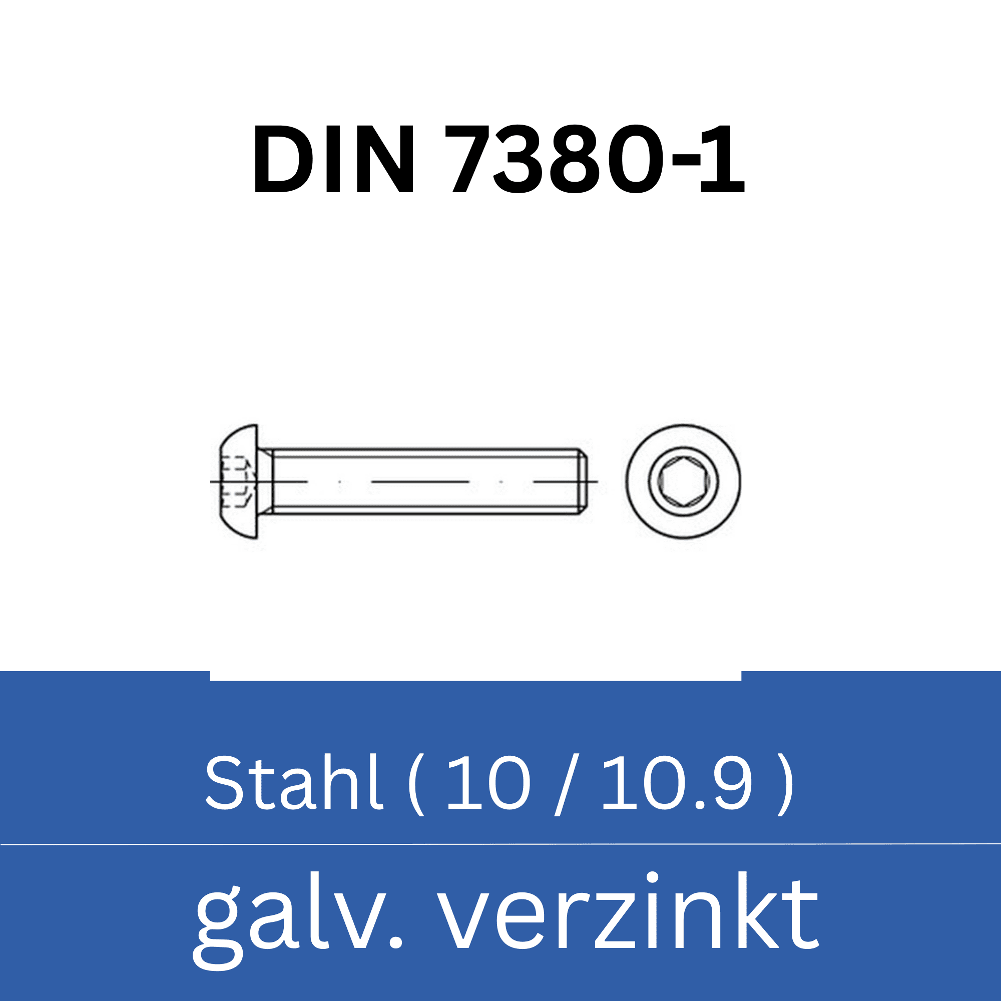 Bild für Kategorie ➤ Kategorie: DIN 7380-1 Stahl (10/10.9) galv. verzinkt