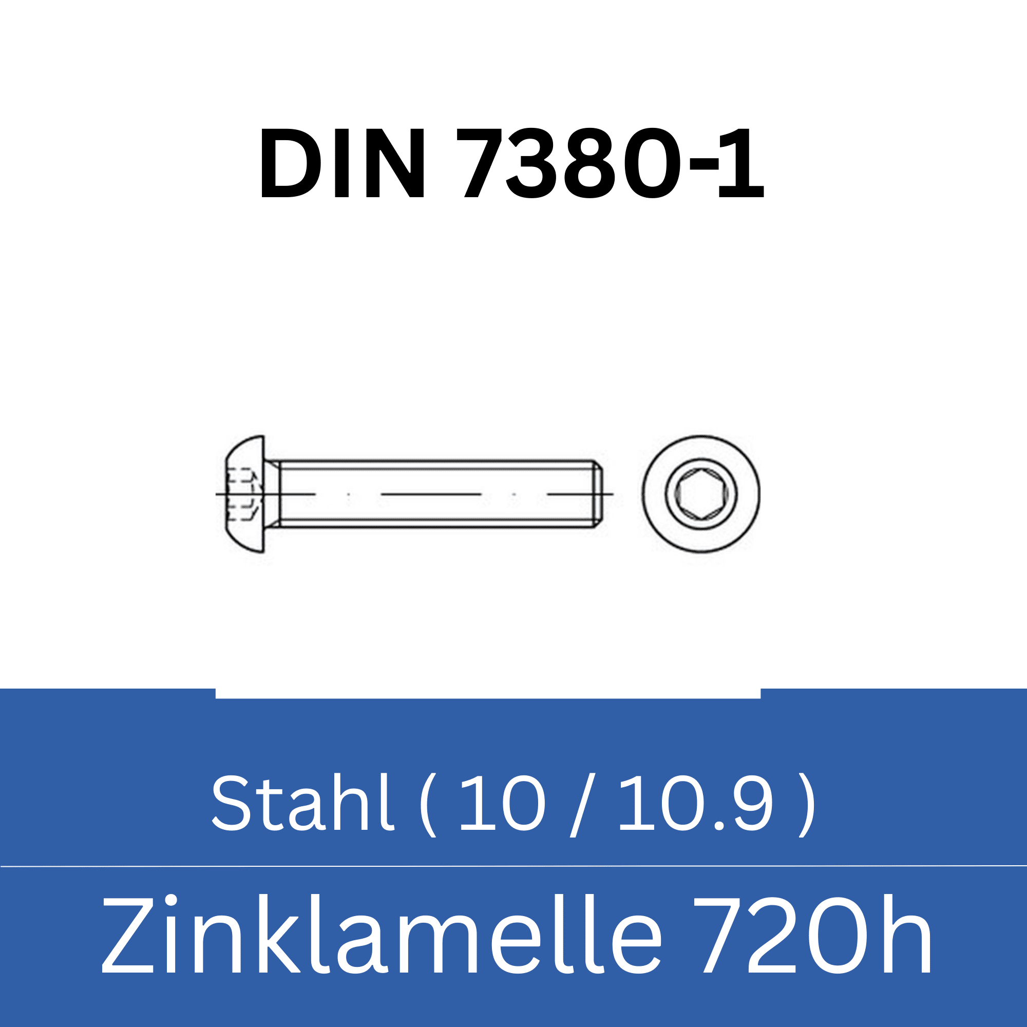 Bild für Kategorie ➤ Kategorie: DIN 7380-1 Stahl (10/10.9) Zinklamelle 720h