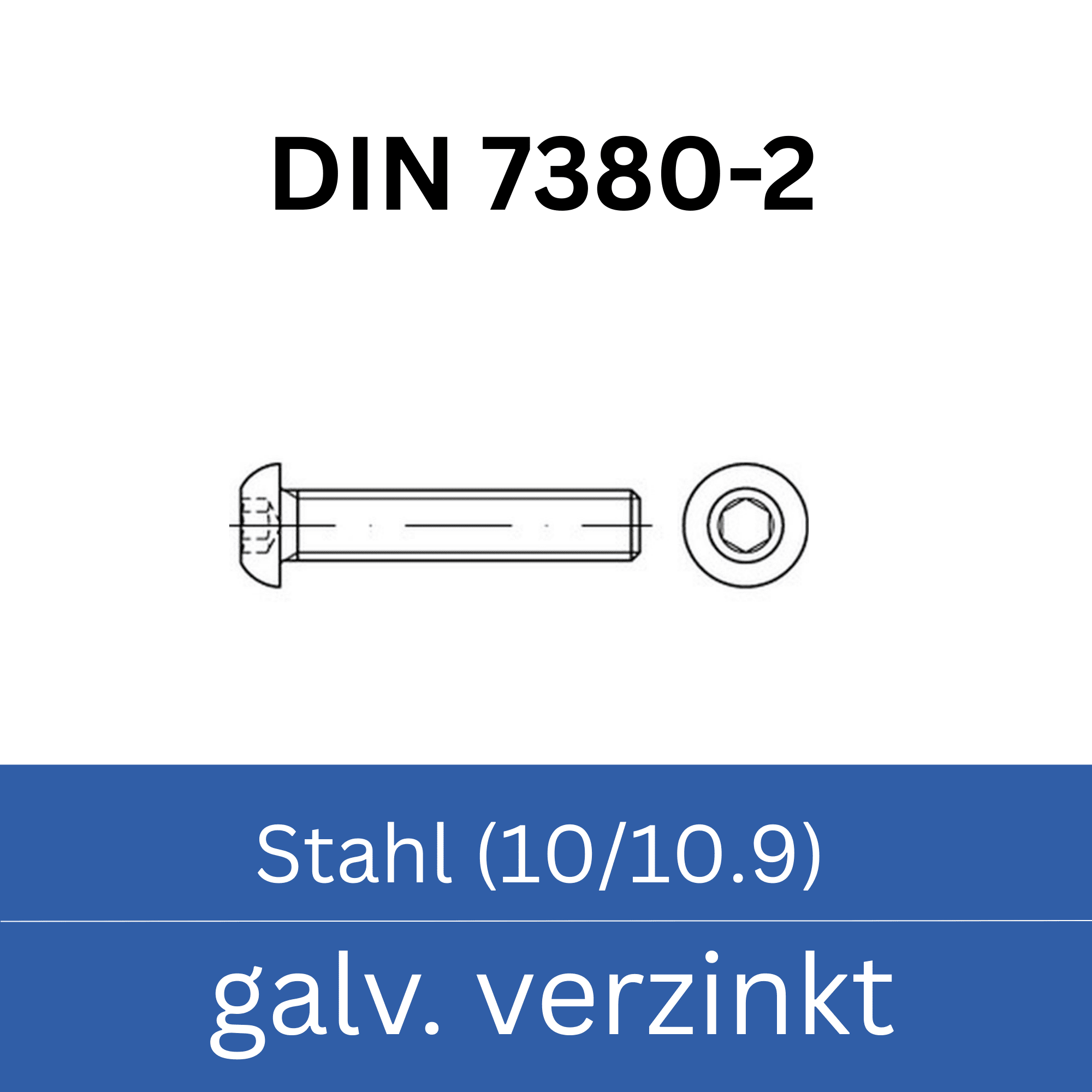 Bild für Kategorie ➤ Kategorie: DIN 7380-2 Stahl (10/10.9) galv. verzinkt