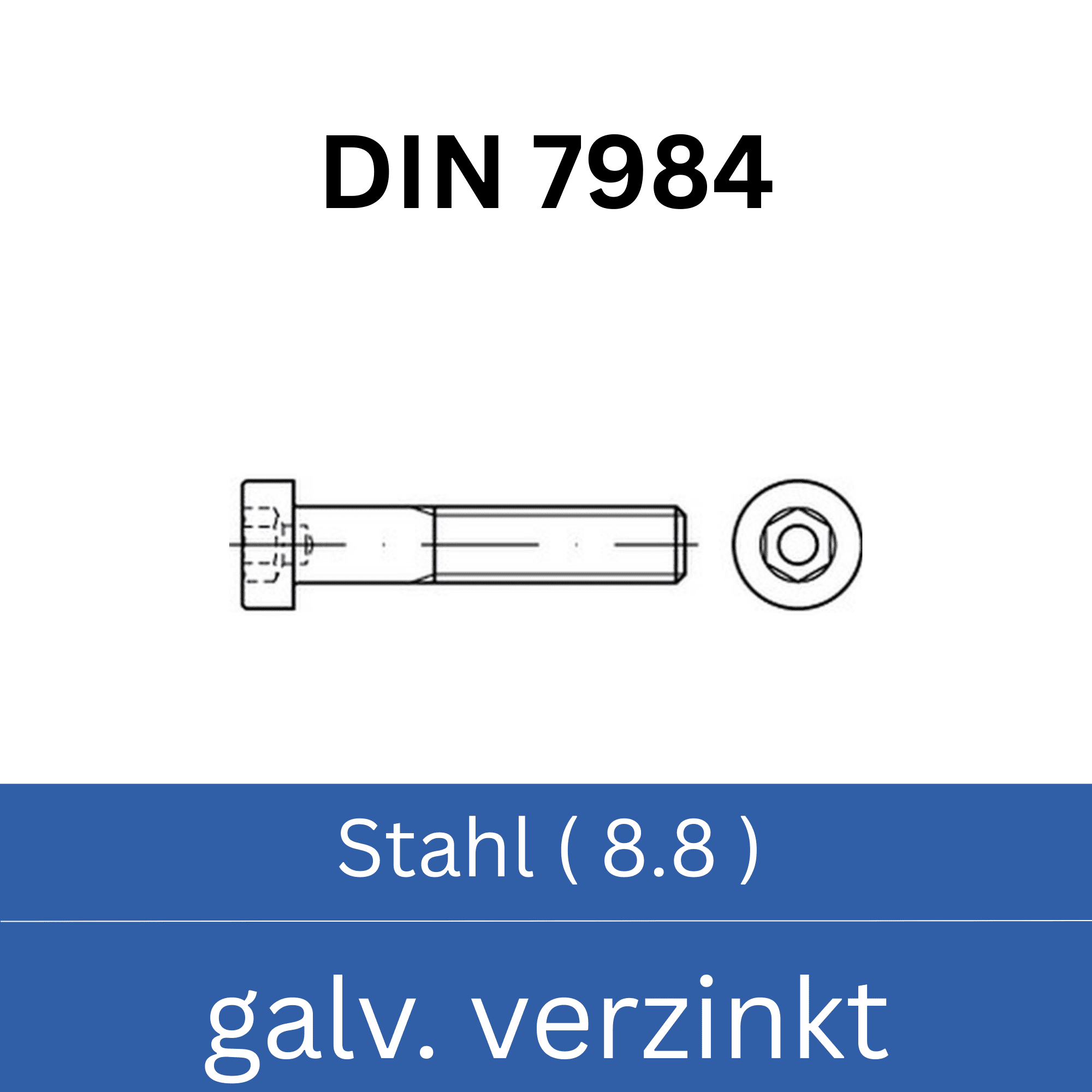 Bild für Kategorie ➤ Kategorie: DIN 7984 Stahl (8.8) galv. verzinkt
