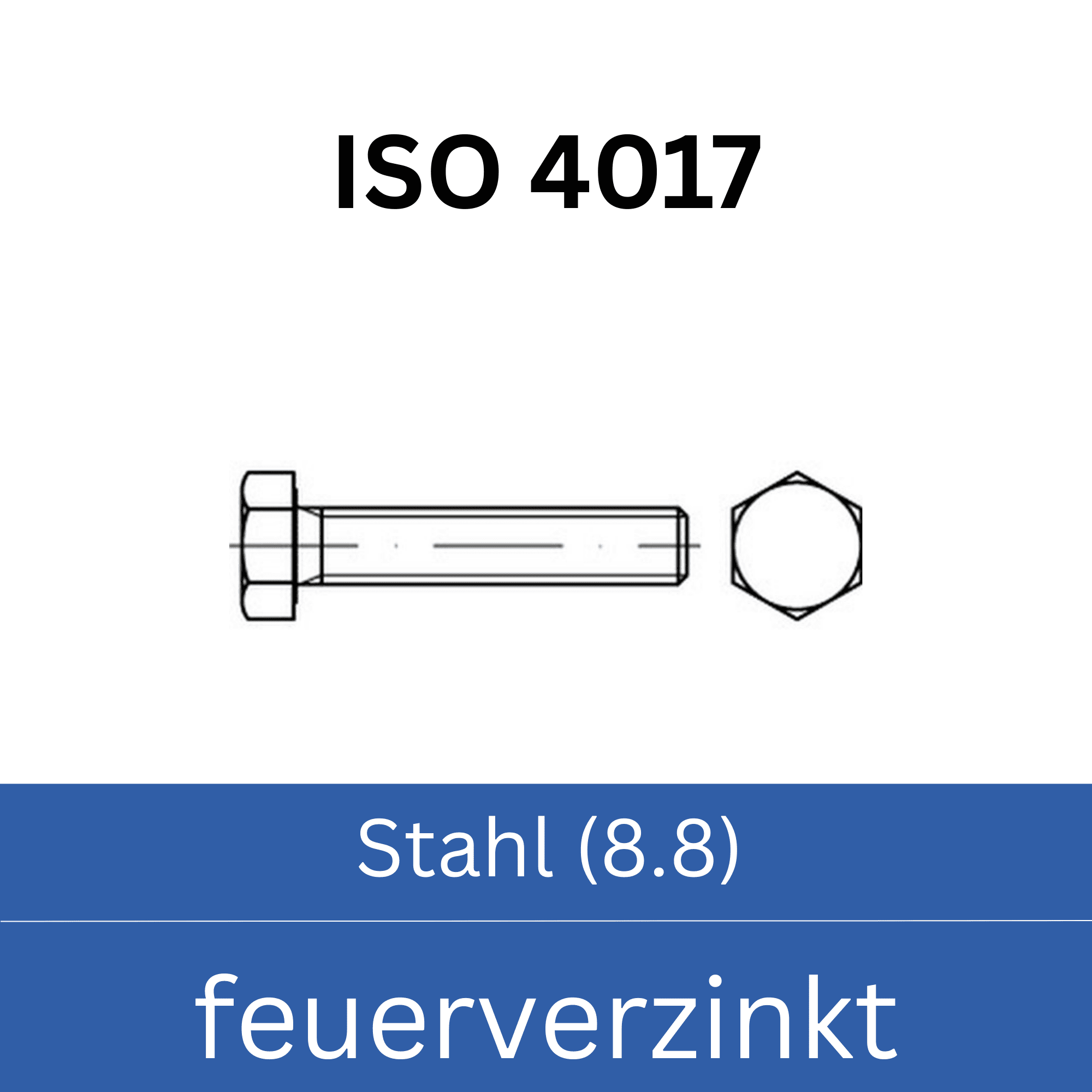 Bild für Kategorie ➤ Kategorie: ISO 4017 Stahl (8.8) feuerverzinkt