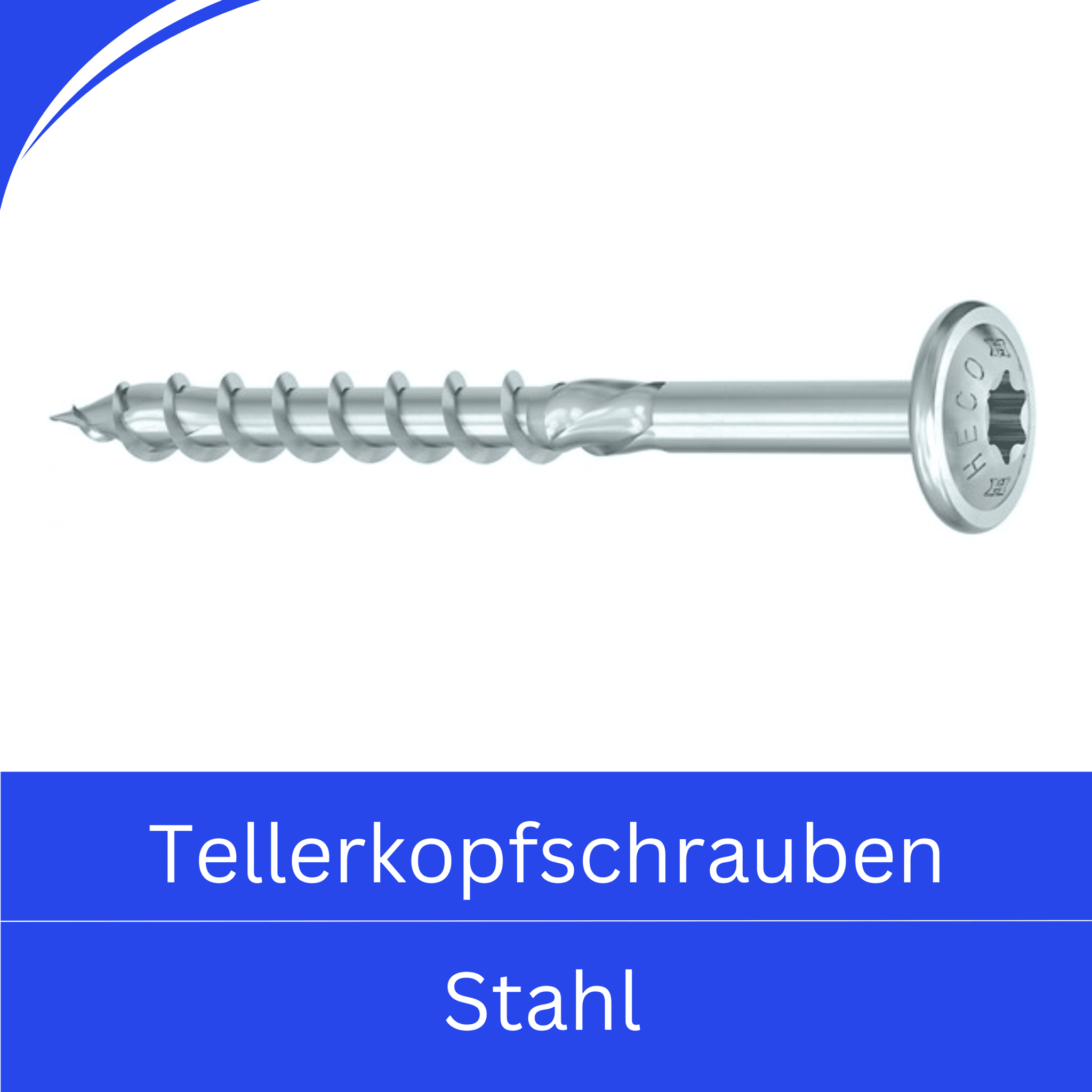 Bild für Kategorie Holzbau-Tellerkopf (Stahl)